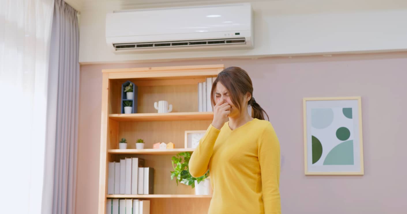 How to Combat Mold with HVAC Systems